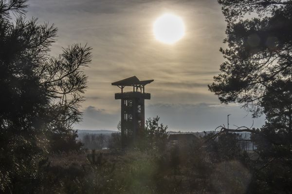 Der Aussichtsturm bei Stützkow, direkt an der Oder.